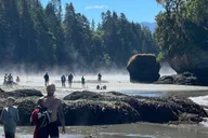 Seattle Olympic National Park Tour with Ferry Ride thumbnail 4