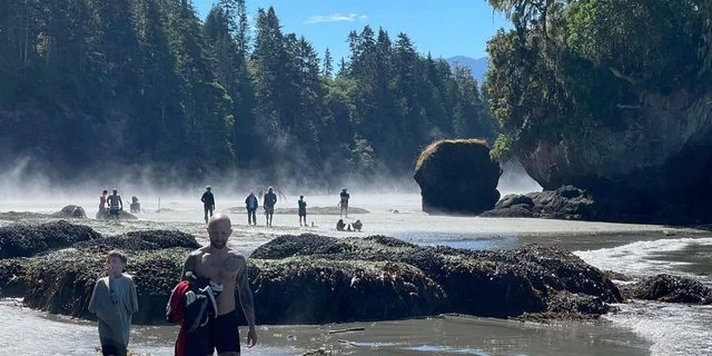 Seattle Olympic National Park Tour with Ferry Ride - Image 4