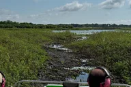 Orlando Everglades Airboat Tour 1 hr thumbnail 6