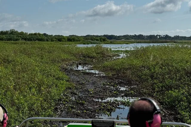 Orlando Everglades Airboat Tour 1 hr - Image 6
