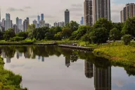 Chicago Neighborhoods Discovery Tour thumbnail 5