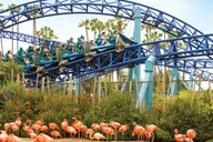 San Diego SeaWorld Park Admission thumbnail 1
