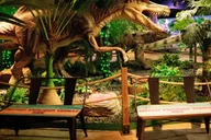 Las Vegas Dinosaur Outpost Admission thumbnail 4
