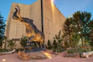 Denver Museum of Nature and Science Entry Ticket thumbnail 6