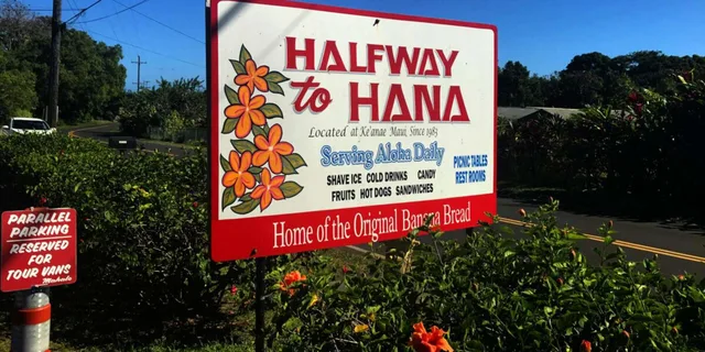 Maui Private Halfway to Hana Tour - Image 4
