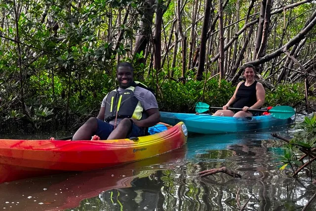 Bonita Springs Kayak EcoTour - Image 1