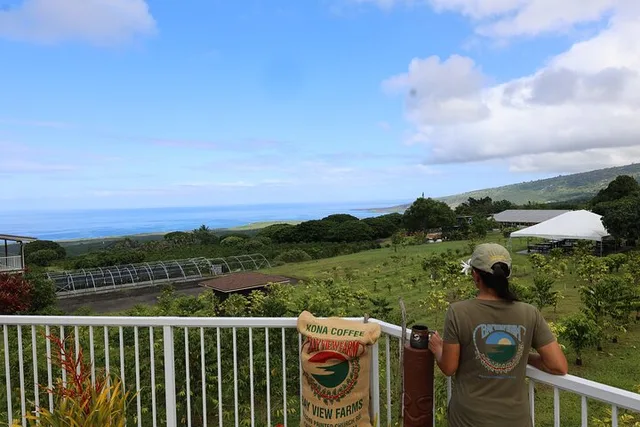 Kona Coffee Farm Tour - Image 1