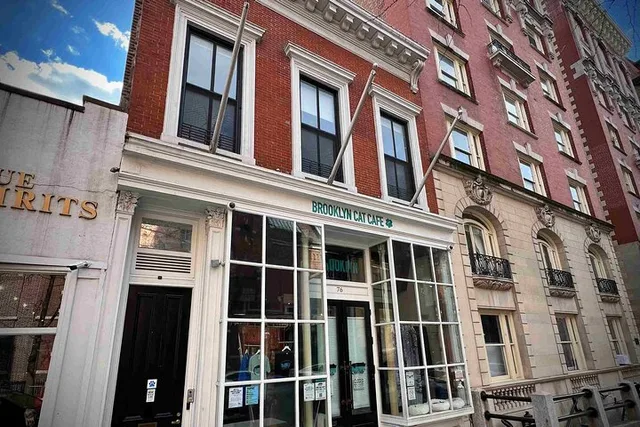 Brooklyn Heights Self-Guided Walking Tour - Image 4