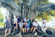Los Angeles Private Large Group Tour thumbnail 2