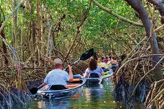 St. Pete Clear Kayak Tour in Shell Key