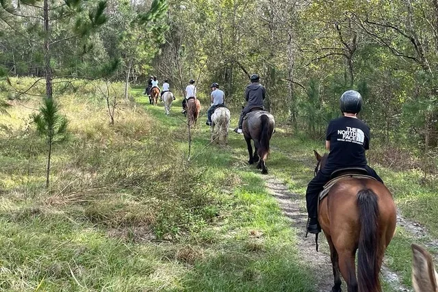 Lake Louisa Horseback Ride - Image 3