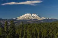 Seattle Mt. St. Helens National Park Tour thumbnail 6