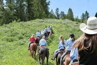 Jackson Hole Horseback Ride with Lunch 2.5 hr thumbnail 3