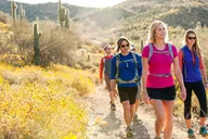Scottsdale Sonoran Desert Guided Hike 2 hr thumbnail 1