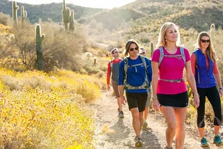 Scottsdale Sonoran Desert Guided Hike 2 hr