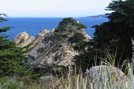 Point Lobos Nature Walk 2 hr thumbnail 5