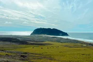 Pacific Coast Private Tour: Big Sur & Hearst Castle 3-Day thumbnail 3