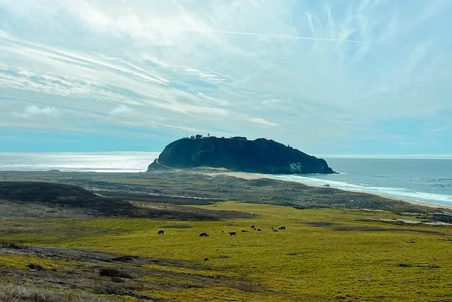 Pacific Coast Private Tour: Big Sur & Hearst Castle 3-Day - Image 3