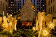 New York City Christmas Lights Horse Carriage Ride thumbnail 1