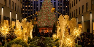 New York City Christmas Lights Horse Carriage Ride