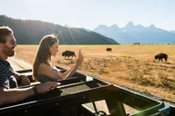 Jackson Grand Teton Eco Safari 4 hr thumbnail 1