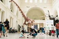 Chicago Field Museum Early Access Tour thumbnail 4