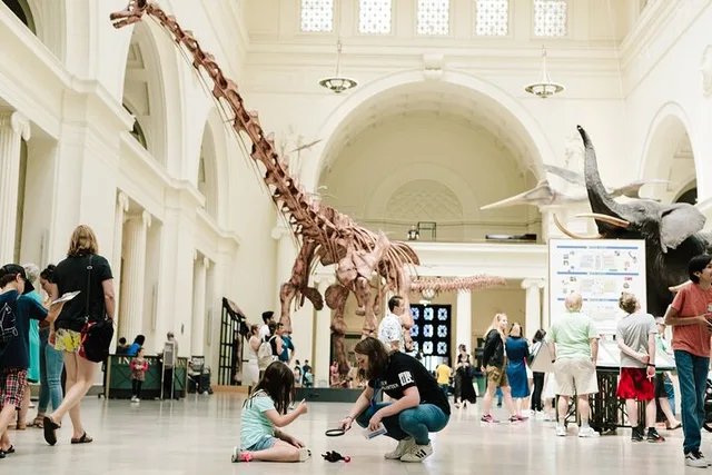 Chicago Field Museum Early Access Tour - Image 4