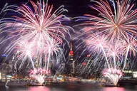 New York City Fireworks Cruise with Buffet & Drinks thumbnail 1