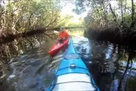 Everglades 10000 Islands Boat Tour thumbnail 6