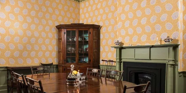 Savannah Davenport House Museum Guided Tour - Image 2