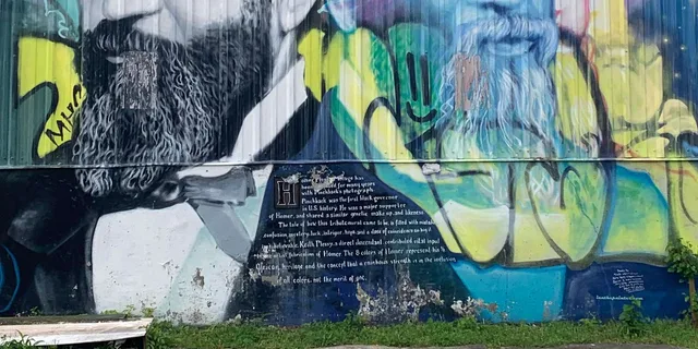 New Orleans City Tour: Enslavement to Modern Culture 2.5 hr - Image 6