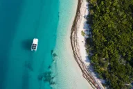 Key West Dolphin Watching and Guided Snorkeling thumbnail 3
