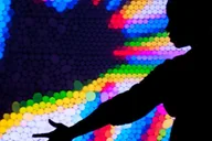San Francisco Exploratorium Ticket thumbnail 1