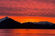 Sitka Wildlife Boat Tour thumbnail 1