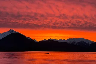 Sitka Wildlife Boat Tour