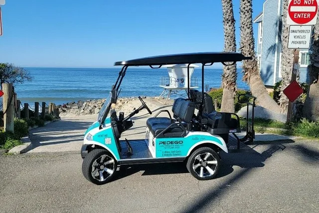 Carlsbad Golf Cart Rental - Image 1