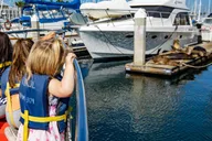 Redondo Beach Glass Bottom Boat Ride thumbnail 5