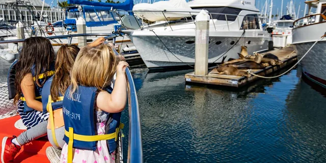 Redondo Beach Glass Bottom Boat Ride - Image 5