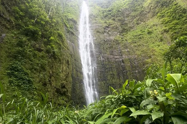 Maui Pipiwai Trail Open-Air Jeep Tour - Image 2