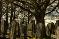 Galveston Historic Ghost Tour thumbnail 1