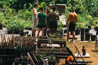 Hawaii Farm Tour on Big Island thumbnail 2