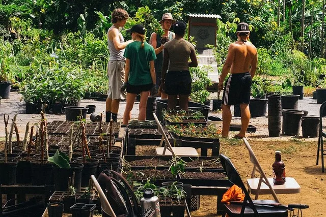 Hawaii Farm Tour on Big Island - Image 2