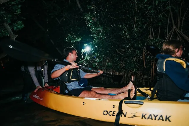Florida Bioluminescent Kayak Tour - Image 5