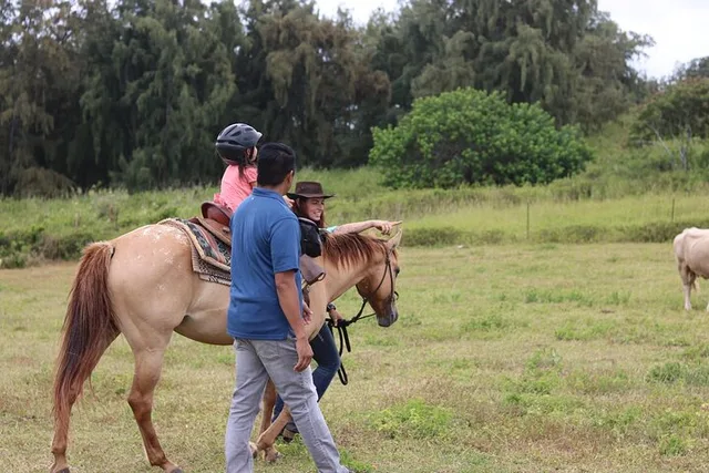 Laie Pony Rides for Kids 30 Min - Image 5