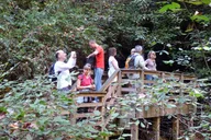 Bartram Trail Hike and Wine Tasting thumbnail 6
