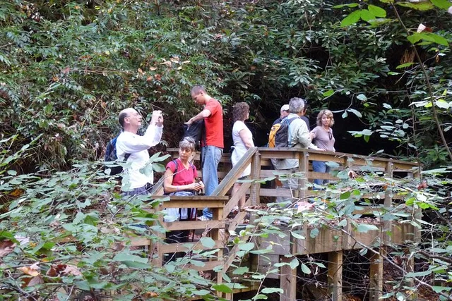 Bartram Trail Hike and Wine Tasting - Image 6