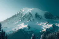 Seattle and Mt Rainier 2-Day Tour thumbnail 3