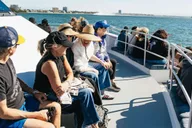 Long Beach Whale Watching Cruise thumbnail 5