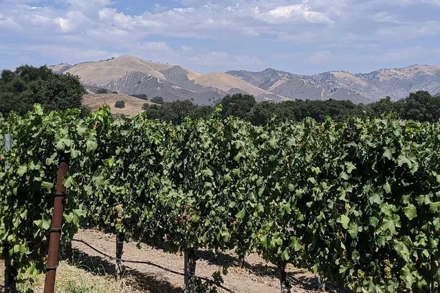 Santa Ynez Valley Wine Tasting Tour - Image 3