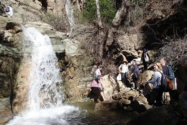 Anaheim Nature Walk and Hike Tour - Image 1